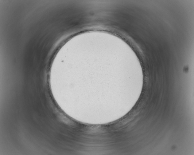 X0000116811416201001291552