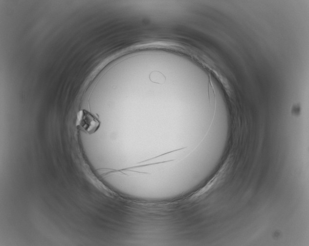 X0000116811417201001291552