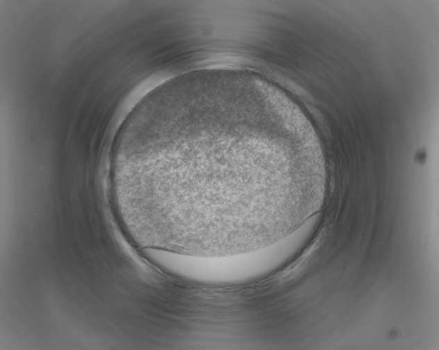 X0000116811418201001291552