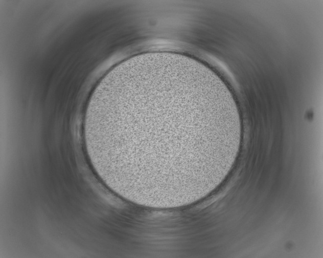 X0000116811419201001291552