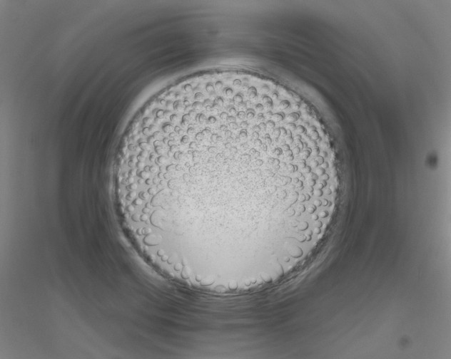 X0000116811420201001291552
