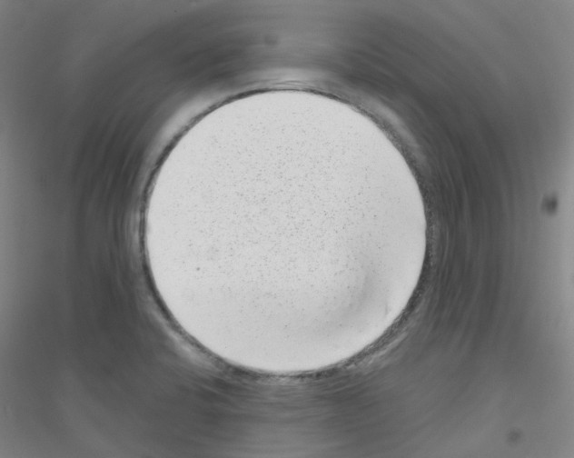 X0000116811424201001291552