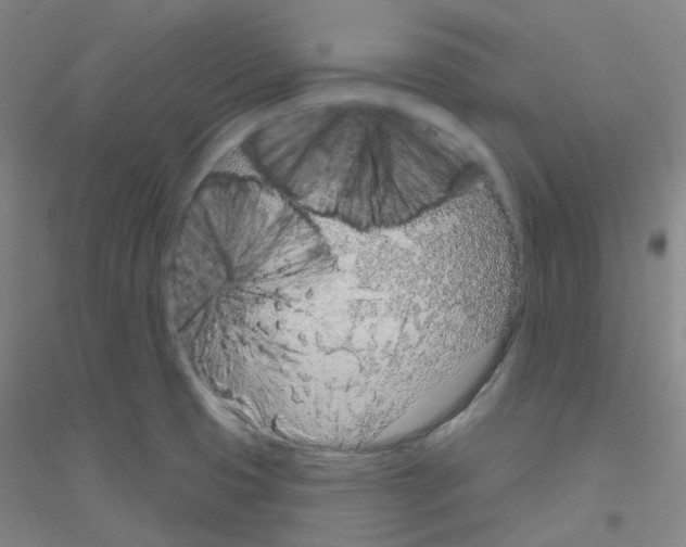 X0000116811425201001291552