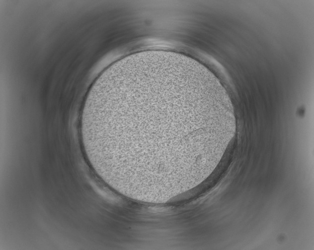 X0000116811427201001291552