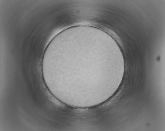 X0000116811428201001291552