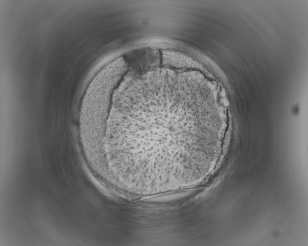 X0000116811429201001291552