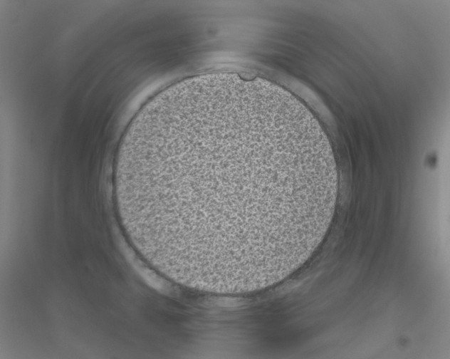 X0000116811431201001291552