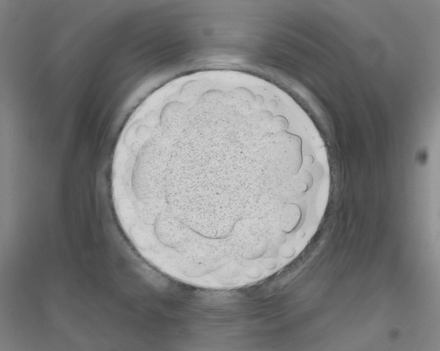 X0000116811432201001291552