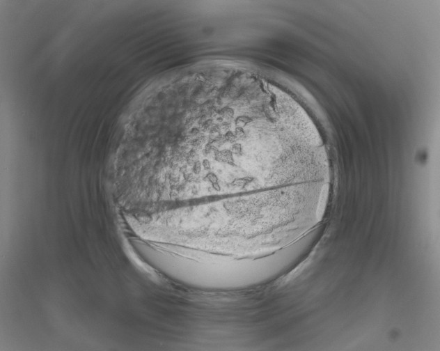 X0000116811433201001291552