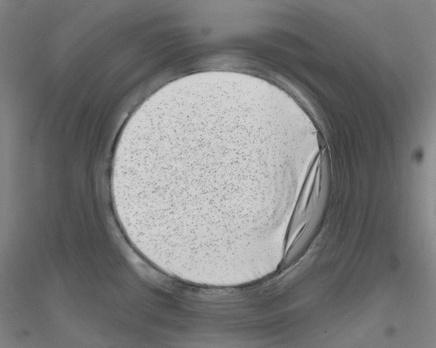 X0000116811434201001291552
