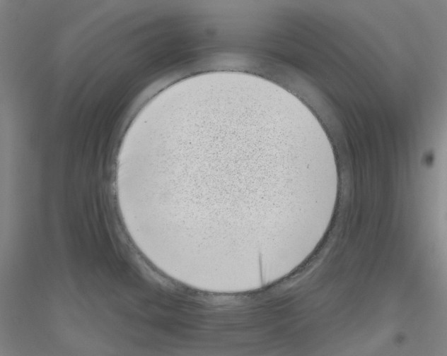 X0000116811436201001291552