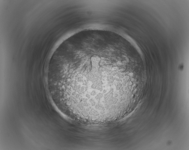 X0000116811437201001291552