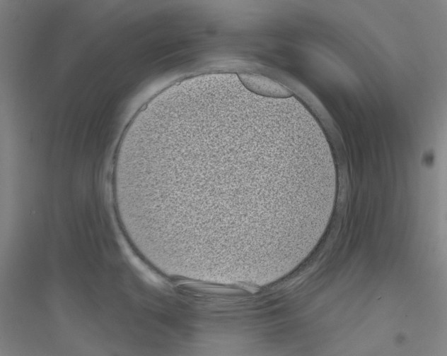 X0000116811439201001291552