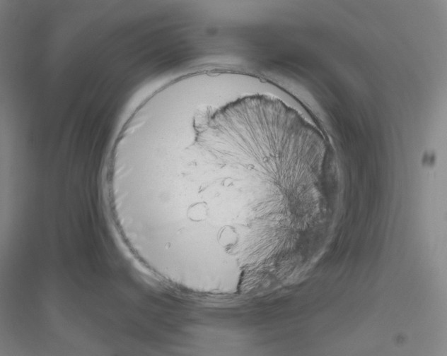 X0000116811440201001291552