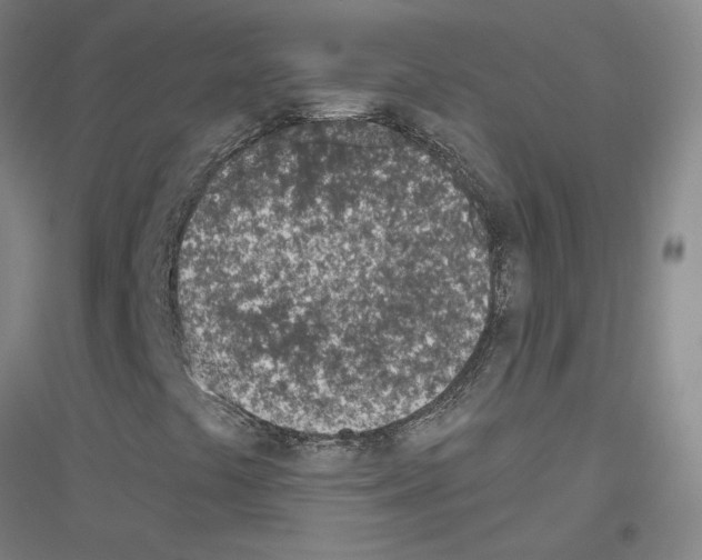 X0000116811441201001291551