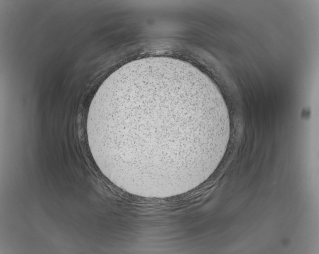 X0000116811442201001291551
