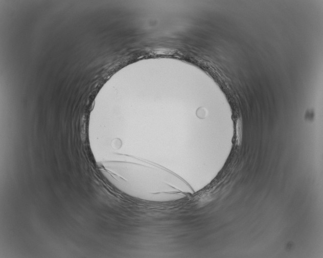 X0000116811443201001291551