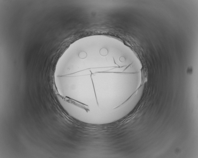 X0000116811444201001291551