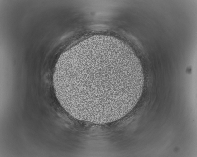 X0000116811445201001291551
