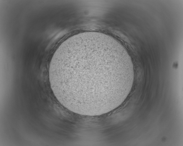 X0000116811446201001291551