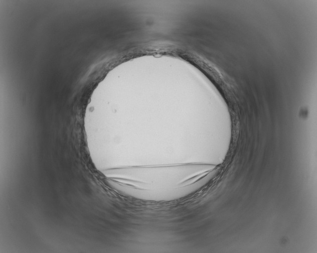 X0000116811447201001291551