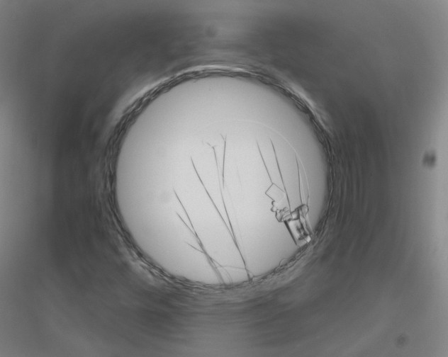X0000116811448201001291551