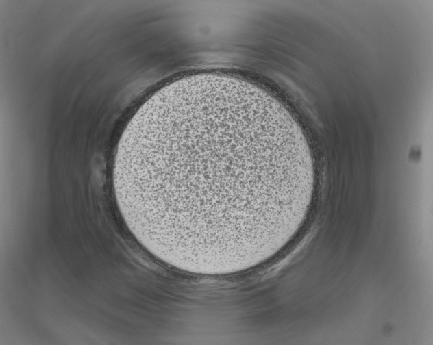 X0000116811449201001291551