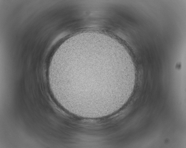 X0000116811450201001291551
