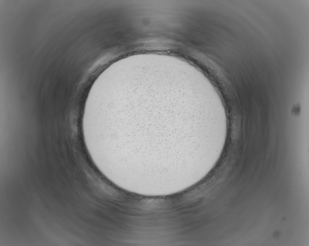 X0000116811451201001291551