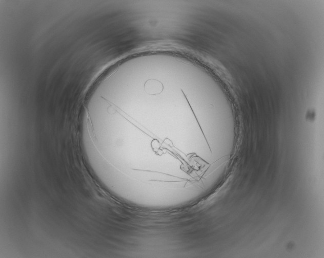 X0000116811457201001291551