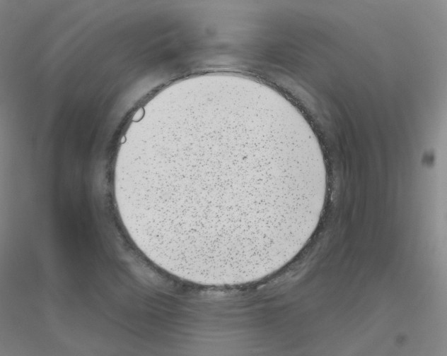 X0000116811458201001291551