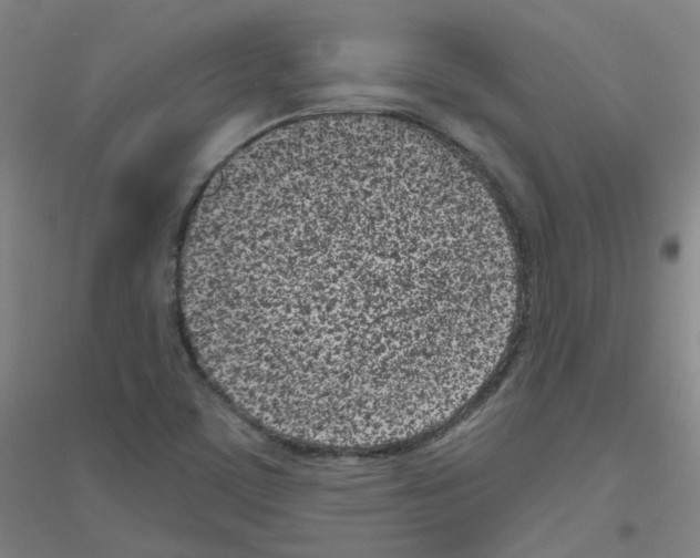X0000116811459201001291551