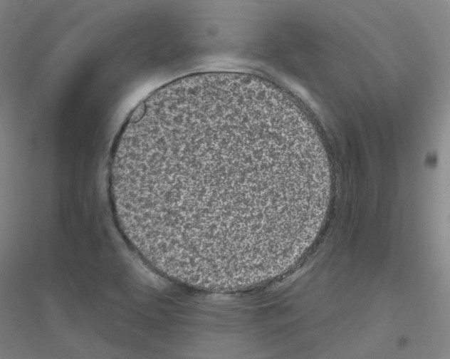 X0000116811463201001291551