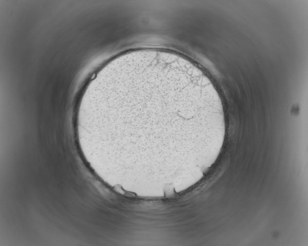 X0000116811464201001291551