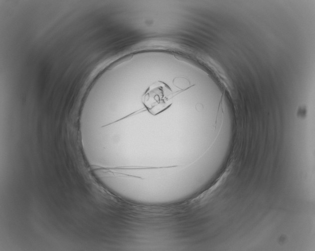 X0000116811465201001291551