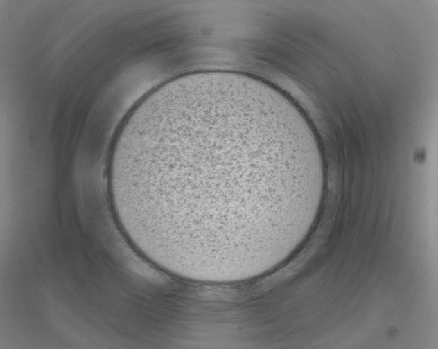 X0000116811466201001291551