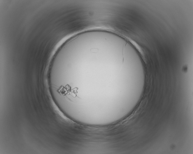 X0000116811468201001291551