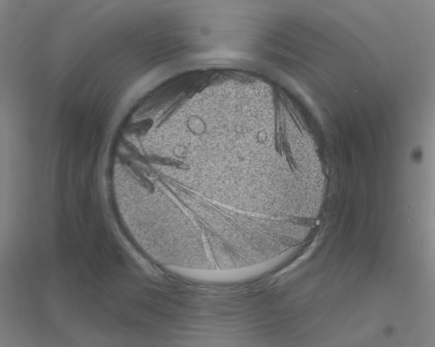 X0000116811469201001291551
