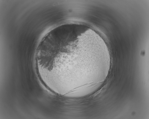 X0000116811471201001291551