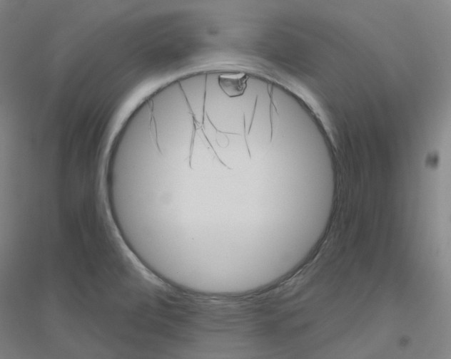 X0000116811472201001291551