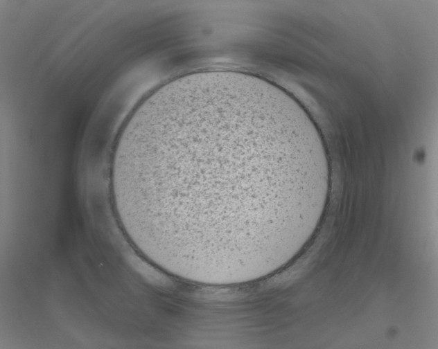 X0000116811474201001291551