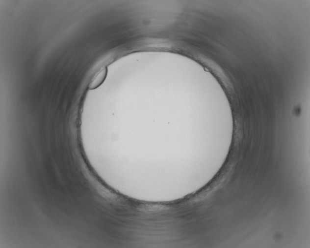 X0000116811475201001291551