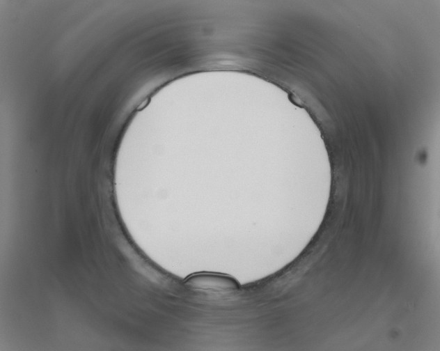 X0000116811476201001291551