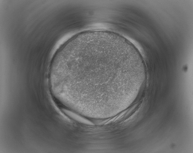 X0000116811477201001291551