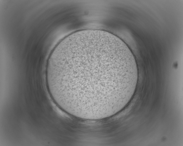 X0000116811478201001291551