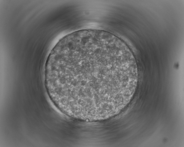 X0000116811479201001291551