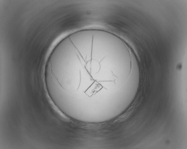 X0000116811480201001291551