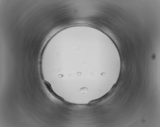 X0000116811482201001291551