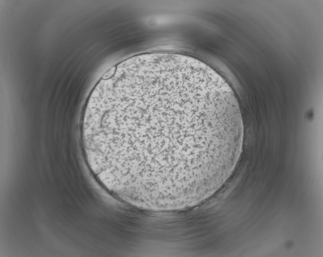 X0000116811483201001291551