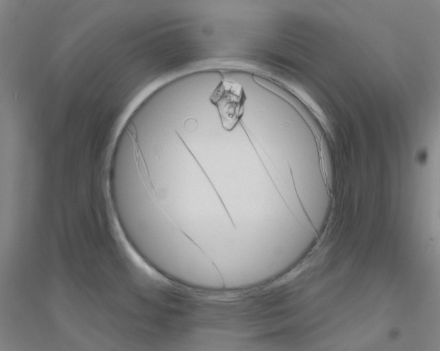 X0000116811484201001291551